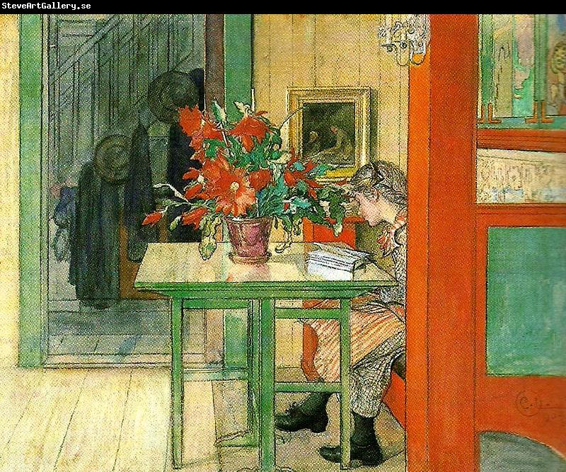 Carl Larsson lisbeth laser-lisbeth lasande. rod kaktus